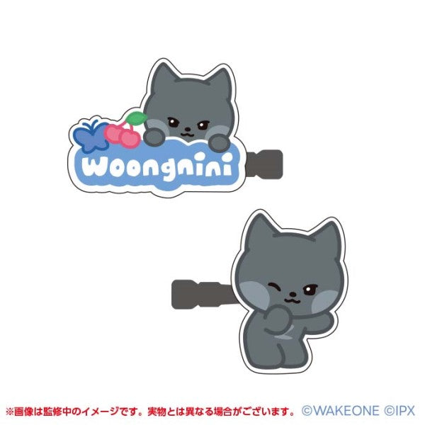zeroni アクリルヘアクリップ ②woongnini [エンスカイ][GOODS