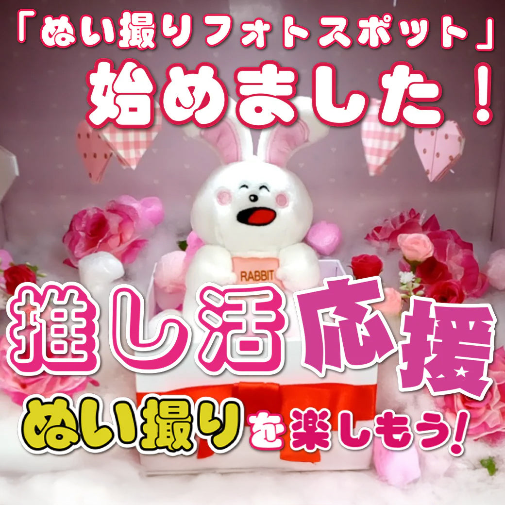 「ぬい撮りフォトスポット」始めました!