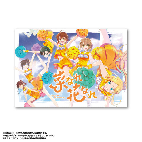 菜なれ花なれ キャラファインボード Vol.1 コンセプトビジュアル