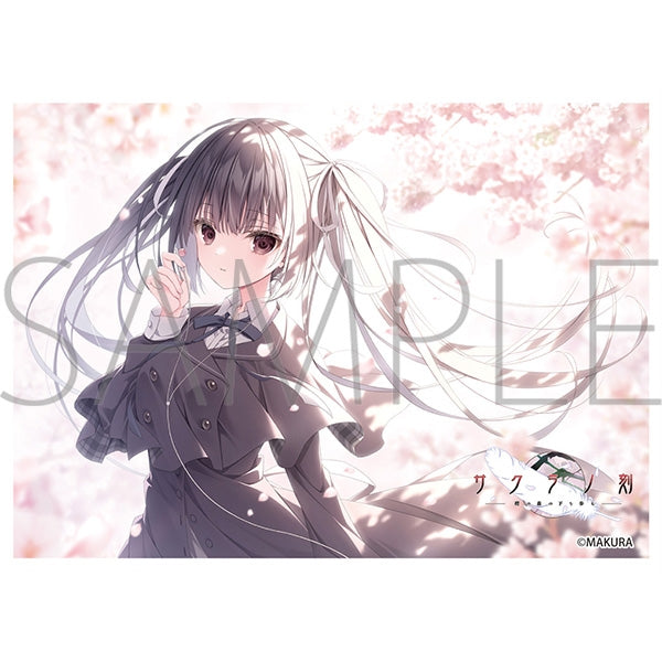 Lycee 本間心鈴 SP 不味