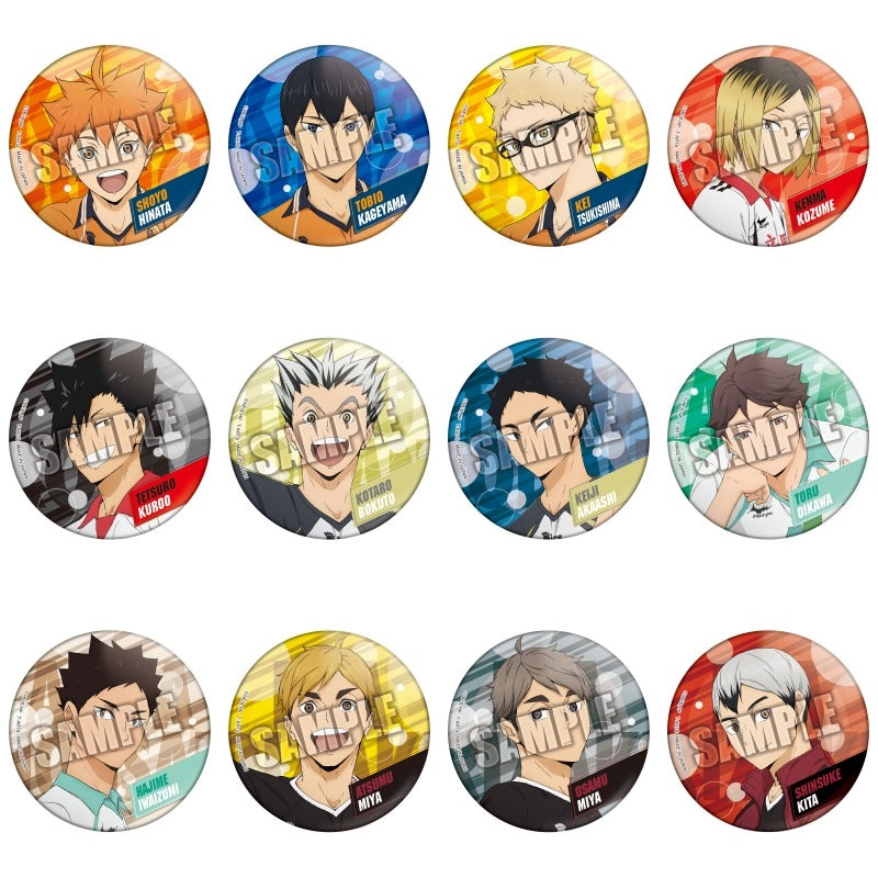 カラパレ ハイキュー!! スクールオブジェ 缶バッジ 1箱 12個入