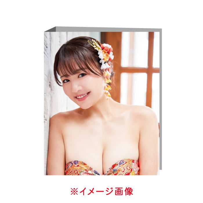 平嶋夏海～SEASON'S～トレーディングカード専用バインダー [WooHooカンパニー][カードサプライ]