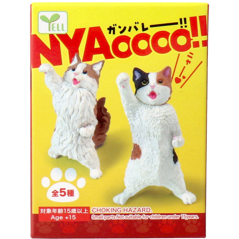 NYAoooo!! 1箱10個入り