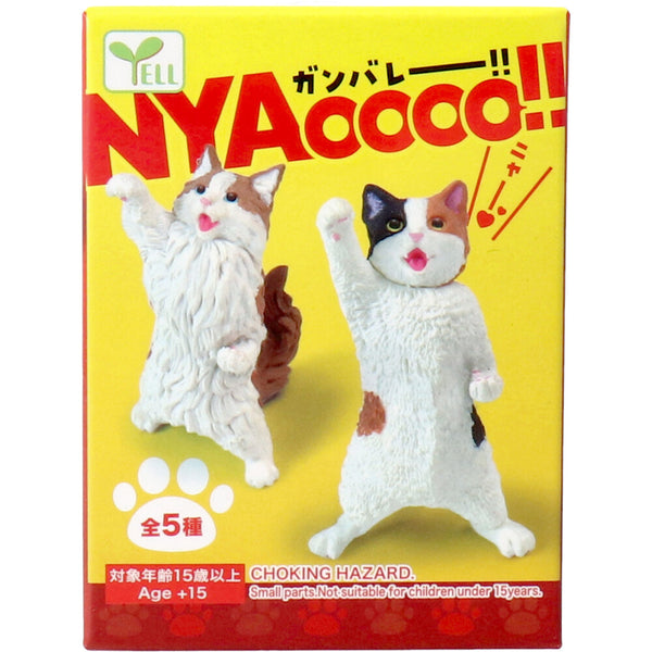 NYAoooo!! 1箱10個入り