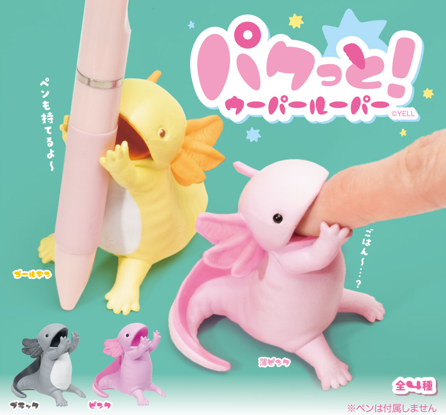 パクっと! ウーパールーパー BOX 8個入[エール][Tフィギュア][新作]