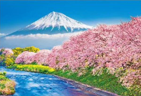 300-125富士と潤井川の桜並木 [ビバリー][ジグソー]