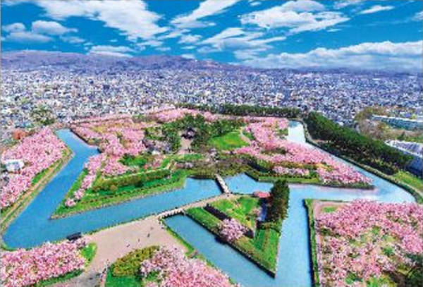 300-126桜彩る五稜郭 [ビバリー][ジグソー]