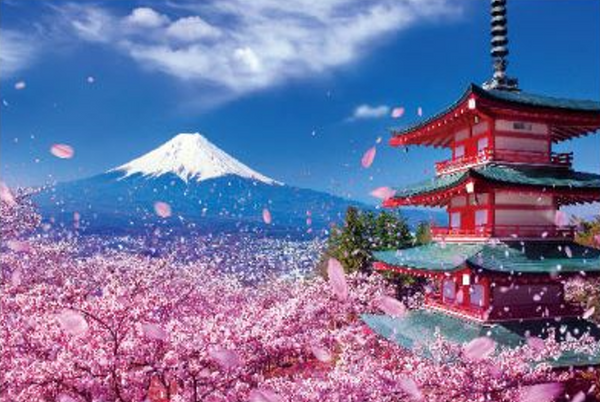 1000-079富士と桜舞う浅間神社 [ビバリー][ジグソー]