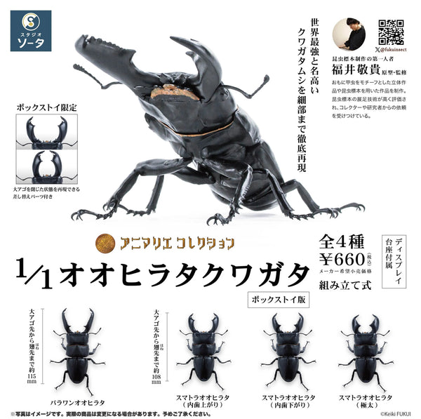 アニマリエコレクション 1/1オオヒラタクワガタ 1箱4個入り [SO-TA][Tフィギュア]
