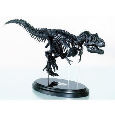 Gakken Sta:Ful Presents Tyrannosaurus Skeleton Model Kit & Poster [Gakken Sta:Ful][GOODS]
