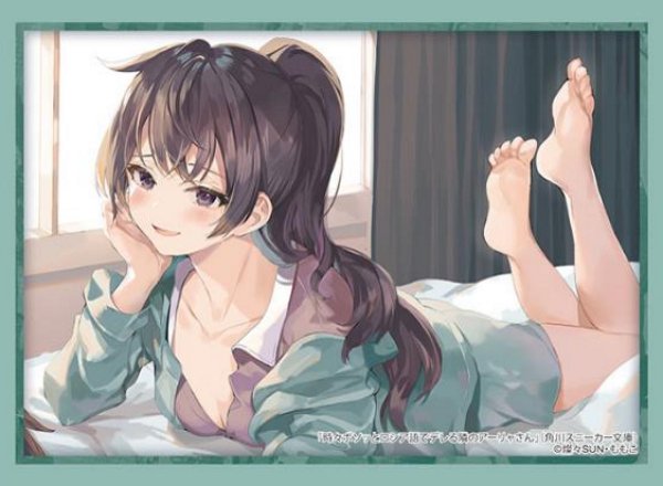 ブシロード スリーブコレクション ハイグレード Vol.4776 角川スニーカー文庫  時々ボソッとロシア語でデレる隣のアーリャさん『有希』 [ブシロード][カードサプライ]
