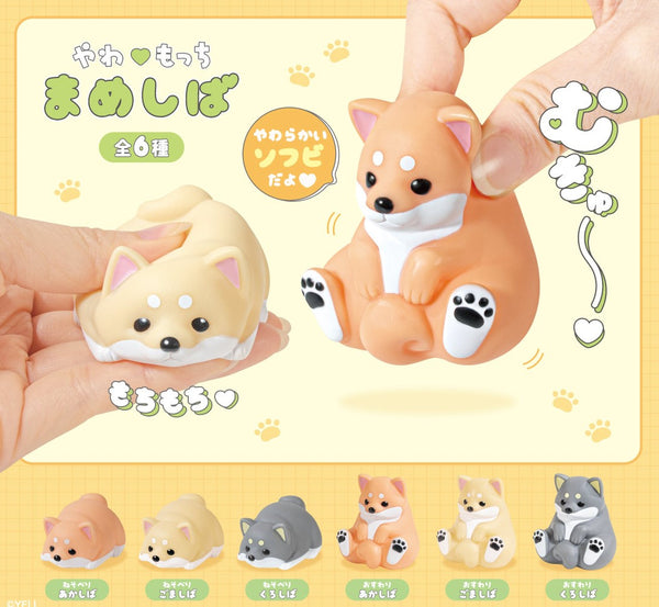 やわもっち まめしば 1箱12個入り [エール][Tフィギュア]