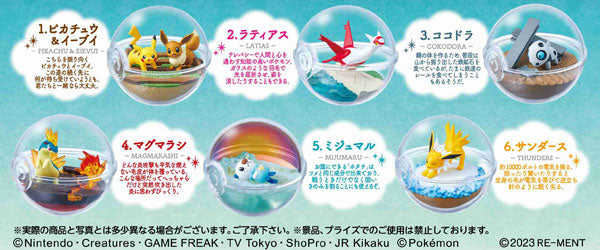 ポケットモンスター テラリウムコレクション13  1箱6個入り  [リーメント][ Tフィギュア]