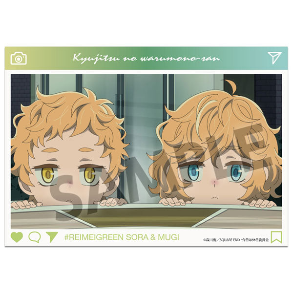 休日のわるものさん A6ビジュアルアクリルプレート レイメイグリーン・空&麦 B[ホビーストック][GOODS][新作]