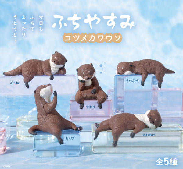 ふちやすみコツメカワウソ 1箱10個入り [エール][Tフィギュア]