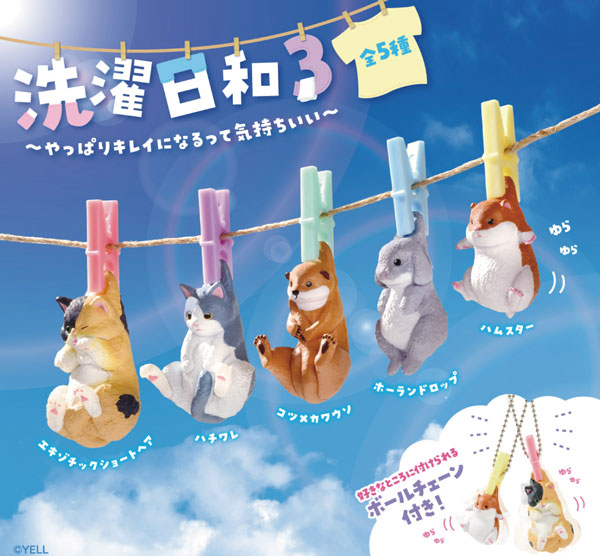 洗濯日和3 1箱10個入り [エール][Tフィギュア]