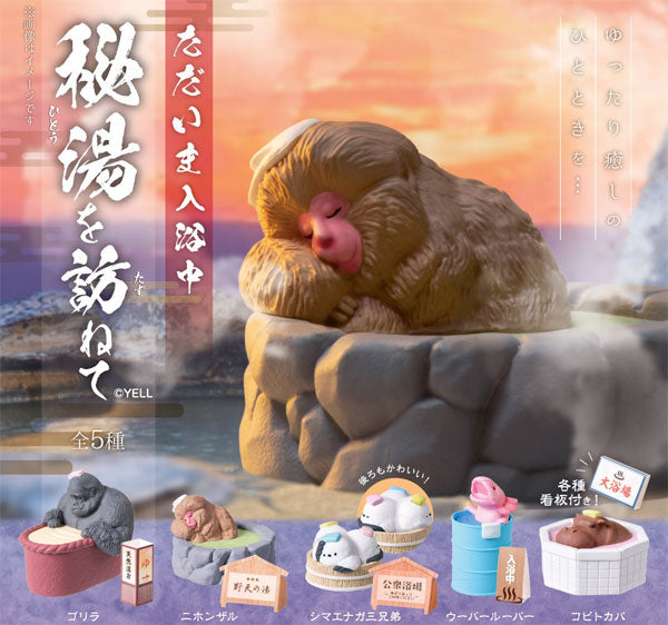 ただいま入浴中 ～秘湯を訪ねて～ 1箱10個入り [エール][Tフィギュア]