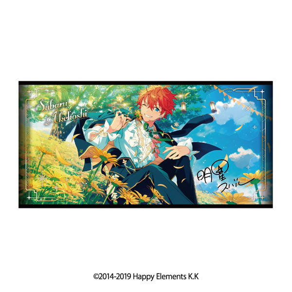 あんさんぶるスターズ!! ビジュアルバスタオル vol.5 6.明星スバル [エンスカイ][GOODS]