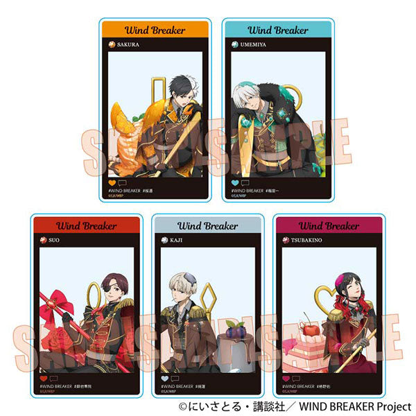 Trading Acrylic Card WIND BREAKER/Dolce Box of 5 [Bellhouse][Trading]