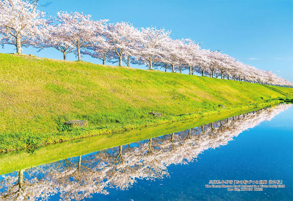 300-447兵庫県小野市「おの桜づつみ回廊 逆さ桜」 [キューティーズ][ジグソー]