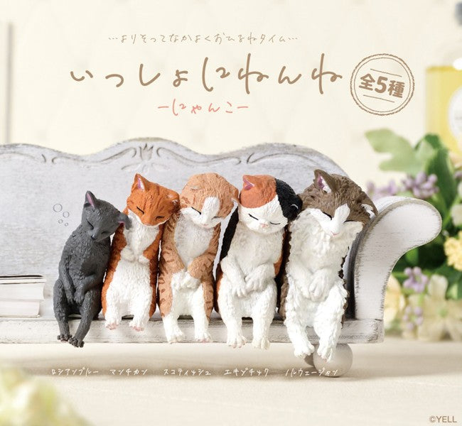 いっしょにねんね にゃんこ 1箱10個入り [エール][Tフィギュア]