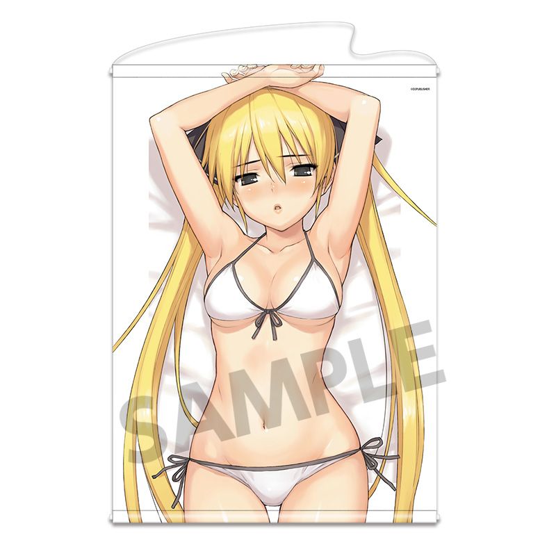 ドリームクラブ 描き下ろしB2タペストリー 魅杏 B [ホビーストック][GOODS]