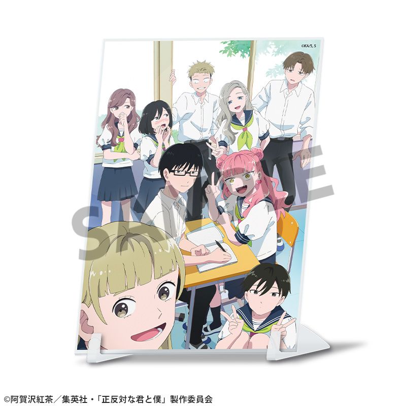 Seihantai na Kimi to Boku A6 Visual Acrylic Plate Main Visual [Hobby Stock][GOODS]