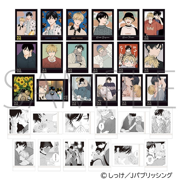 セックスドロップ ぱしゃこれ 1箱10個入り [ムービック][トレーディング]