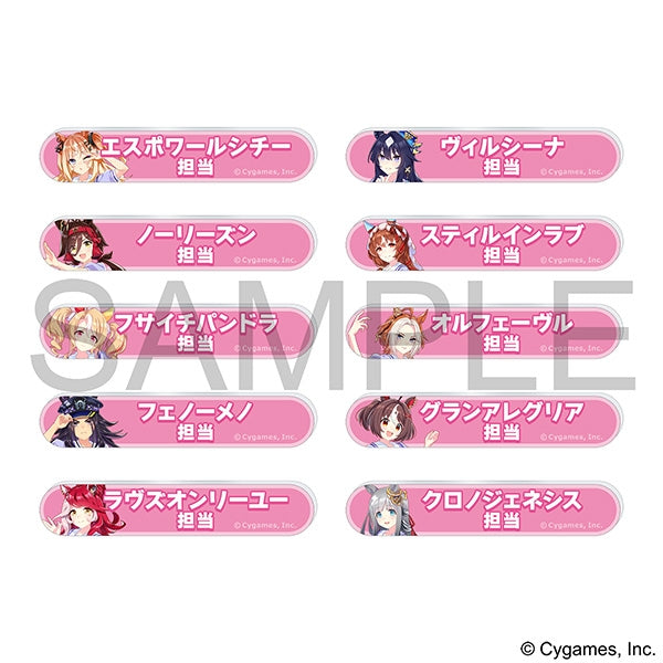 Uma Musume Pretty Derby Responsible Title Acrylic Badge Collection / Vol. 12 Box of 10 [Movic] [Trading]