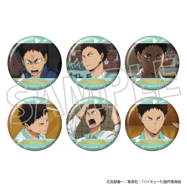 Haikyu!! Iwaizumi-Filled Character Badge Collection, Box of 6 [Movic][Trading]
