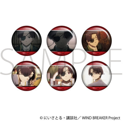 WIND BREAKER 蘇枋がいっぱいホロキャラバッジコレクション 1箱6個入り [ムービック][トレーディング]