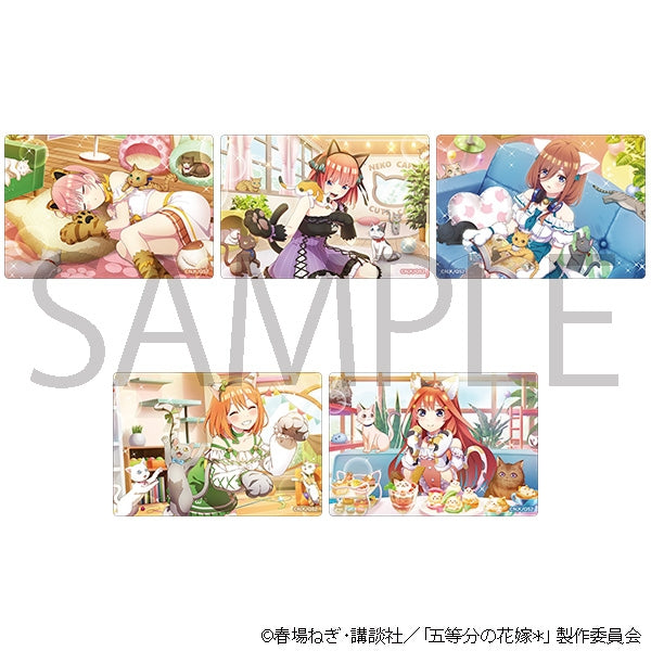 The Quintessential Quintuplets* Acrylic Sheet Collection (Cat Cafe) Box of 5 [Movic][Trading]