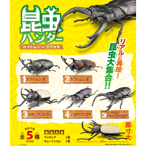 昆虫ハンター(ガム) 1箱10個入り [エフトイズ・コンフェクト][キャンディトイ]