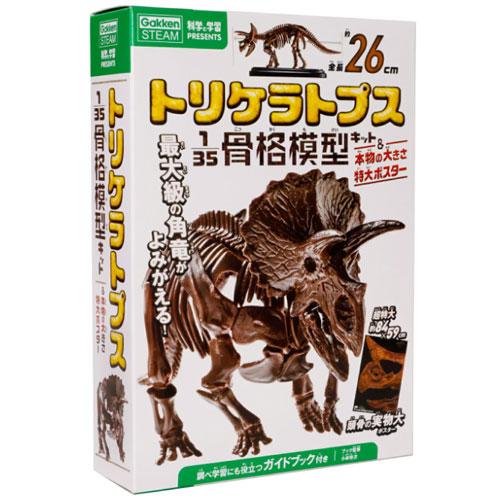 Gakken Sta:Ful Presents: Triceratops Skeleton Model Kit & Poster [Gakken Sta:Ful][GOODS]