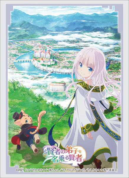 ブシロードスリーブコレクション ハイグレード Vol.3199 『賢者の弟子を名乗る賢者』 パック [ブシロード][カードサプライ]